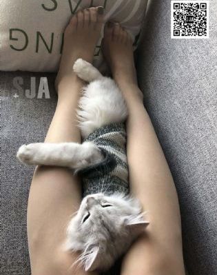 唐朝诡事录之西行电视剧在线观看_BD国语免费在线观看