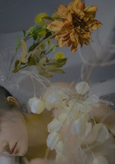 jojo第一季免费观看樱花_BD最新电影在线观看
