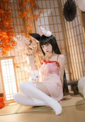 野花在线观看免费高清完整版视频_720神马在线观看